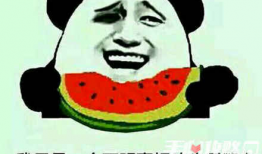 娱乐吃瓜酱谐音梗,揭秘娱乐圈那些事儿