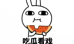 娱乐吃瓜自我介绍,我的趣味生活与八卦世界