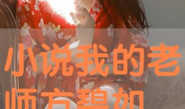 娱乐吃瓜郭老师小说,揭秘娱乐圈背后的秘密与笑料