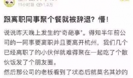 娱乐吃瓜酱离职通知