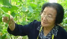 不舍昼夜吃瓜娱乐,揭秘不舍昼夜的娱乐盛宴