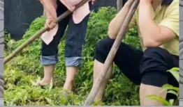 娱乐八卦吃瓜群众,揭秘明星幕后故事，吃瓜群众狂欢时刻