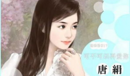 吃瓜娱乐圈小说封面图片