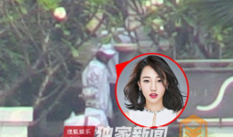 搜狐娱乐明星吃瓜,明星吃瓜大揭秘