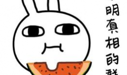 娱乐吃瓜酱说出你的故事,揭秘娱乐圈背后的那些事儿