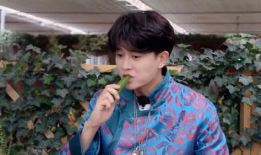 娱乐吃瓜呀任嘉伦,娱乐吃瓜界的“瓜王”