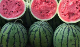 不舍昼夜吃瓜娱乐,揭秘不舍昼夜的娱乐盛宴