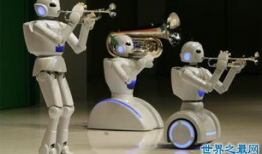 娱乐吃瓜酱机器人视频,揭秘网红幕后故事